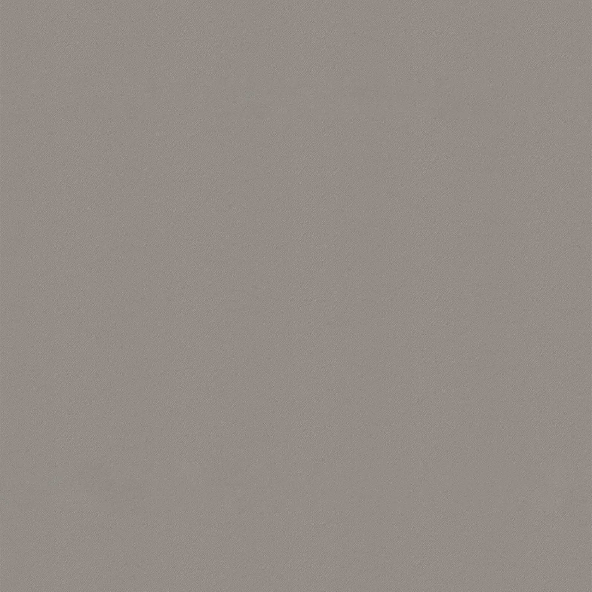 鼴鼠灰